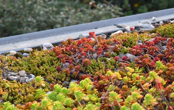 the cost of Fletchers Green green roof installation