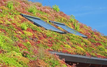 Fletchers Green living roof systems